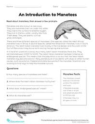 It's an easy work sheet about vertebrate & invertebrate animals. Manatee Facts Worksheet Education Com
