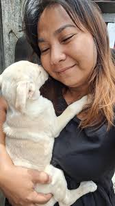 JUSKOOOO OKAY LANG PO BA MAKAKAIN YUNG MGA DOG NG JOLLIBEE SPAG AT BURGER?  MINUKBANG NUNG DALAWA KONG FURBABY YUNG SPAG AT BURGER SA LAMESA 😭 KAYA  PALA MGA NAKANGITI PAGBUKAS KO