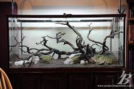Check spelling or type a new query. 95 Aquarium Decor Rock Oranament Wood Ideas Aquarium Decor Aquarium Aquarium Ornaments