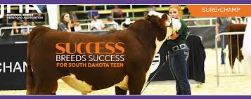 I love this concept that success breeds success! Success Breeds Success For South Dakota Teen Sure Champ