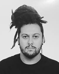 Airelles sauvages de la côte nord!