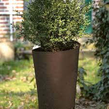 Auf diesen seiten finden sie dekorative und nützliche artikel für den garten, für den balkon, die terrasse etc. Kokosmatte Winterschutz Pflanzen Braun Winterschutz De