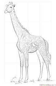 How To Draw A Realistic Giraffe Step By Step Drawing Tutorials Giraffe Drawing Giraffe Images Step By Step Drawing