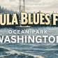 9th Annual Peninsula Blues Festival