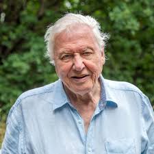 David Attenborough: 'We've had enough for the moment about disasters'