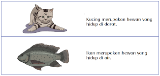 Yuk simak videonya sampai tuntas. Karakteristik Tempat Hidup Hewan Halaman 76 Belajar Kurikulum 2013