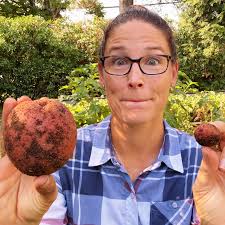 I absolutely adore cherries! If you want a #cherrytree in your own yard  like me, stick around. I'm planting my espaliered Lapins cherry tree at  home and discussing varieties, pollination, soil pH,