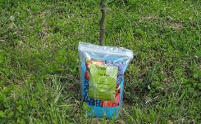 Apply once in early spring and again in early fall. How To Fertilize New Fruit Trees Stark Bro S