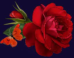 Ingyenesen letölthetsz és használhatsz 100+ bunga dan kupu kupu témájú stockfotót. Kupu Kupu Gif Gambar Animasi Animasi Bergerak 100 Gratis