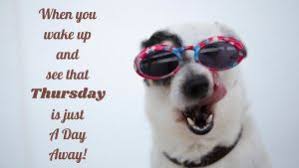 Funny thursday quotes, good morning thursday quotes, happy thursday quotes, thursday hd images for free download here are a few funny thursday quotes in regards to thursday that you may very well relate with, have a ton of fun and appreciate perusing through every one of them. Good Morning Thursday Blessings Funny Images Quotes And Messages To Share
