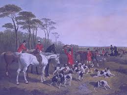 New episode out ✨ Fox Hunting: Britain's Most Controversial Tradition 🦊 For centuries, riders in red coats have chased foxes across the British countryside in the name of tradition. This episode tells