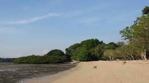 Banyak sekali promo tiket yang bisa anda dapatkan ketika hendak mengunjungi wisata ini, salah satunya adalah promo etiket dengan harga hemat di kantong yang bisa. Objek Wisata Cikoromoy Pandeglang Wisata Banten