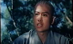 Shaolin Temple Strikes Back (1981)