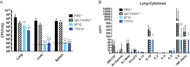 Chapter 370 2 days ago. Novel Broadly Reactive Anticapsular Antibodies Against Carbapenem Resistant Klebsiella Pneumoniae Protect From Infection Mbio