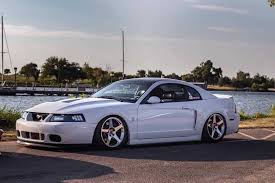 Support us by sharing the content, upvoting wallpapers on the page or sending your own background pictures. 4th Gen Oxford White 2004 Ford Mustang Cobra Terminator For Sale Mustangcarplace
