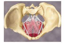 Pelvic Mesh lawsuits: J&J drops claim that women were asked to lie for payouts - MassDevice