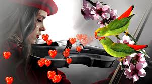 Love Bird, thuy chung, thuong nhos, benem suotdoi, dois chos, HD wallpaper 