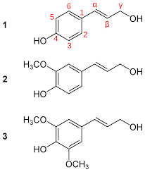 It acts like a bubble wrap, protecting them from degradation. Lignin A Natural Resource With Huge Potential Bioeconomy
