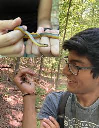 Field Research Archives