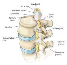 Cervicogenic Headaches Prime Physiotherapy