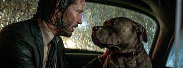 There are two kinds of dogs in john wick 3. John Wick 3 How The Keanu Reeves Franchise Turned Into A Dog Movie