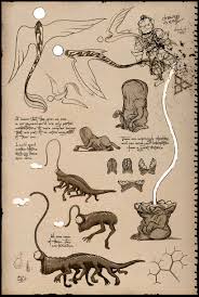 2448 x 3264 jpeg 850 кб. Everything We Know About Shadesmar Tor Com