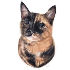 Danielle Dark (@phantombreeze_art) • Instagram photos and videos