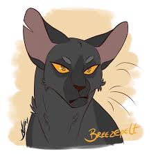 Последние твиты от warrior cats fan art (@warriorsfanart). M Jay Warriors Art Warrior Cats Warrior Cat Drawings Warrior Cats Art