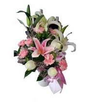 Proudly serving san francisco, california by providing delivery of beautiful floral arrangements and related gift ideas. Teleflora International Flower Delivery