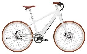 Sturmvogel E Evo Bicicletas Bici Motos
