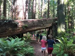 The great news for you is that most of the areas are close together and many of them do. Things To Do Sobriety By The Sea