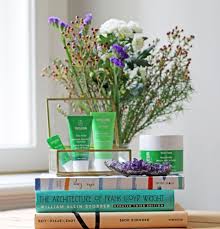Grune Beauty Ikone Weleda Skin Food Sonrisa Beauty Schminktipps Ikonen