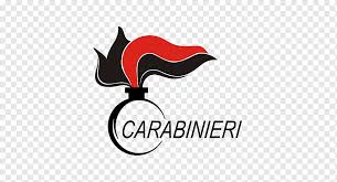 International law enforcement academies program logo international law enforcement academies ( ileas ) are international police academies administered by the u.s. Police Logo Carabinieri Symbol Turin Law Enforcement In Italy Beak Logo Carabinieri Symbol Png Pngwing