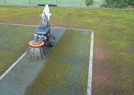 What's the best way to prevent moss on driveways? Pin On Outils