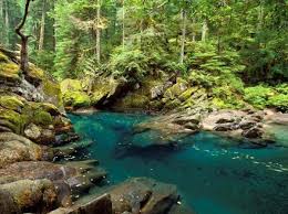 Pemandangan alam yang indah dengan segala hal yang ada di dalamnya, layaknya obat yang manjur bagi penyakit. 26 Gambar Pemandangan Alam Gunung Pantai Pedesaan Dan Hutan