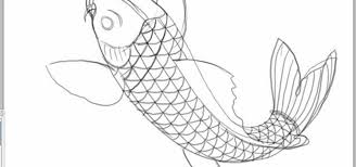 How to draw a koi fish. How To Draw A Koi Fish In Photoshop Photoshop Wonderhowto