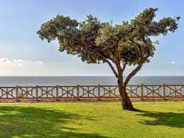 To gather your friends, spread out a blanket and have a picnic. Los Angeles Picnic Spots 20 Of The Best Places To Lay Out A Blanket Curbed La