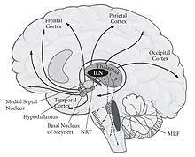 Although extended discussion of the metaphysical split between mind and body did not appear until descartes' meditationes, his de homine outlined these views and provided the first articulation of the mind/body interactionism that was to elicit such. Mind Body Problem Wikipedia
