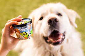 Get ratings, reviews, hours, phone numbers, and directions. Doggie Desserts Ben Jerry S Enters The Pet Food Business Koin Com
