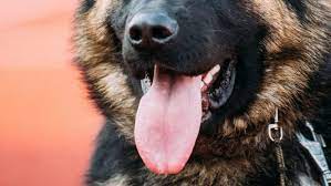 Check spelling or type a new query. Laman 156 Bincangsyariah Portal Islam Rahmatan Lil Alamin