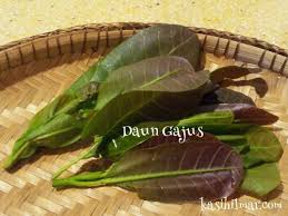 Ia sedap dimakan kerana baunya yang menyelerakan. Daun Gajus Kasih Ilmar