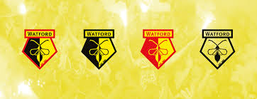 Most badges of the watford football club have been inspired by the crest of its home city, watford, hertfordshire, england. The Logo Breakdown Watford Fc Design By Alva
