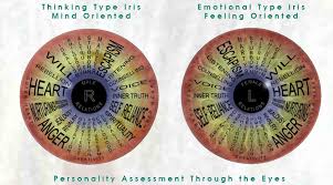 Iridology Chart Overlay Iriscope Iridology Camera