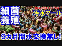 「韓国のプール」の画像検索結果