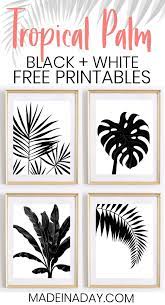 Leaf template black and white creative images printable black and white leaves download them or print black white graphic logo template with monstera palm leaf vector Black White Tropical Palm Leaf Wall Art Printables Free Printable Art Free Printable Wall Art Leaf Wall Art