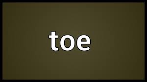 Can camel be pronounced differently? Toe Meaning Youtube