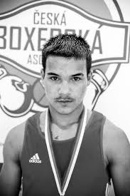 Moravskoslezská oblast boxu