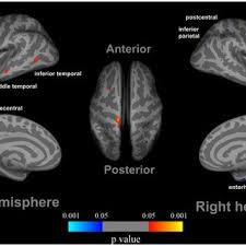 Addictive video games have become more commonplace and often target children and young adults. Internet Video Game Addiction Your Brain On Porn