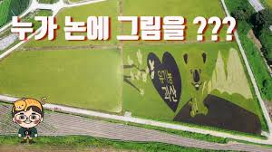 드론으로 찍은 괴산군 논그림 ~ : 클리앙