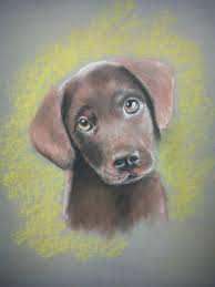 Custom Pet Memorial Drawing In Soft Pastel Custom Pet Portrait Custom Pet Memorial Drawing Soft Pastel Pet Family Portrait Dog A Dessin Pastel Dessin Pastel